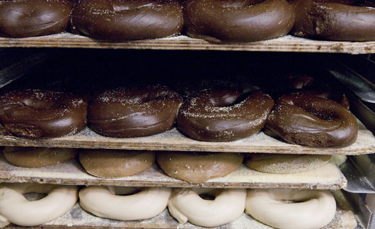 Uncooked bagels proofing on a rake.
